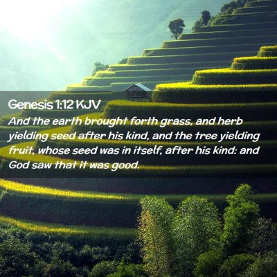 Genesis 1:12 KJV Free Bible Images