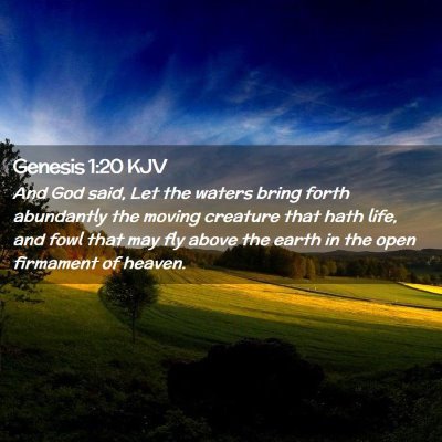 Genesis 1:20 KJV Free Bible Images