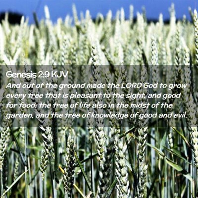 Genesis 2:9 KJV Free Bible Images