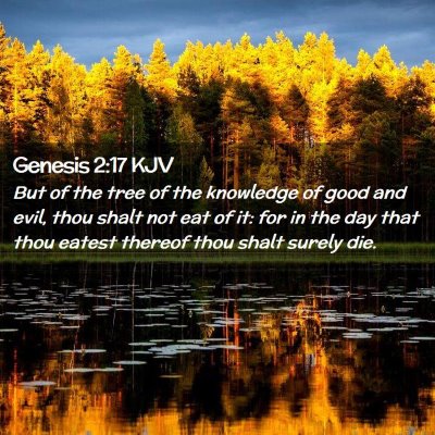 Genesis 2:17 KJV Free Bible Images