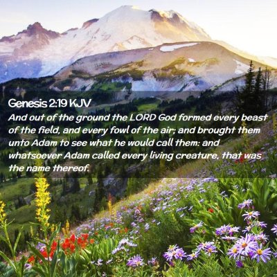 Genesis 2:19 KJV Free Bible Images