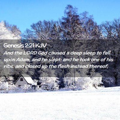 Genesis 2:21 KJV Free Bible Images