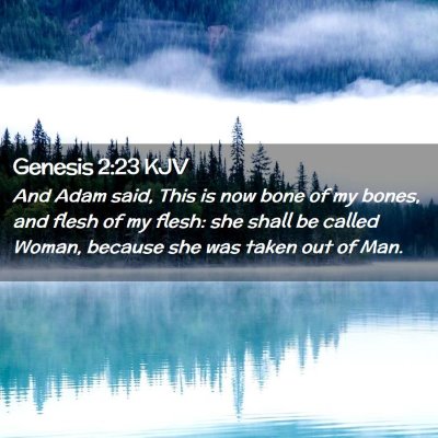 Genesis 2:23 KJV Free Bible Images