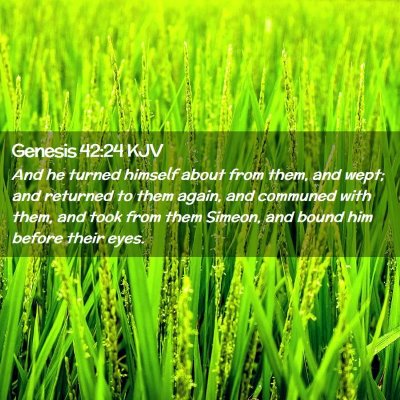 Genesis 42:24 KJV Free Bible Images