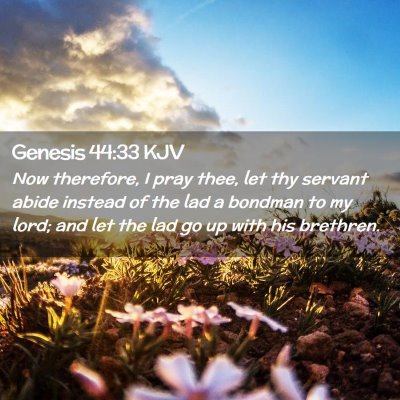 Genesis 44:33 KJV Free Bible Images
