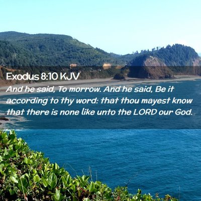 Exodus 8:10 KJV Free Bible Images
