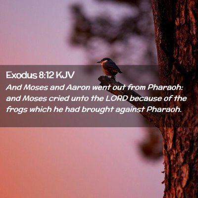 Exodus 8:12 KJV Free Bible Images