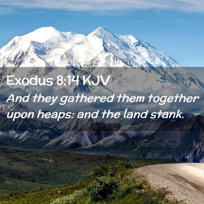 Exodus 8:14 KJV Free Bible Images