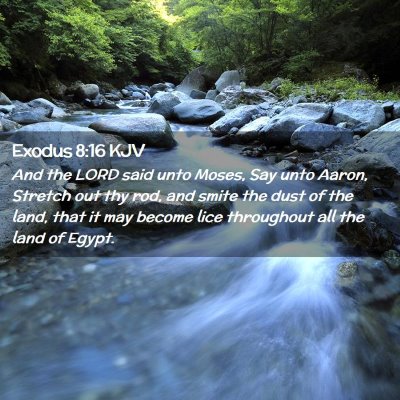 Exodus 8:16 KJV Free Bible Images