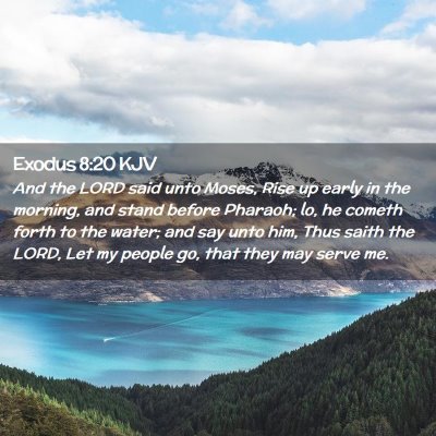 Exodus 8:20 KJV Free Bible Images