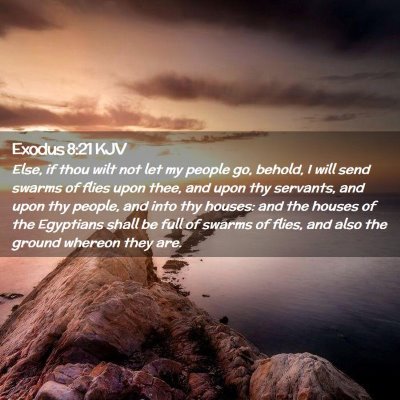 Exodus 8:21 KJV Free Bible Images