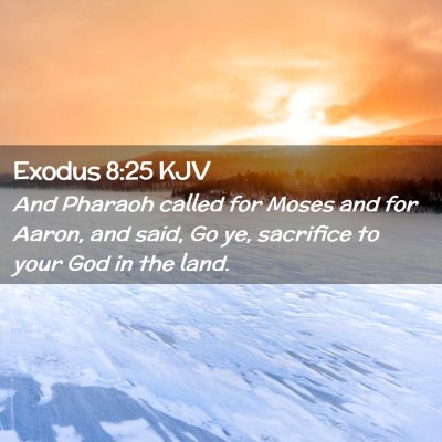 Exodus 8:25 KJV Free Bible Images