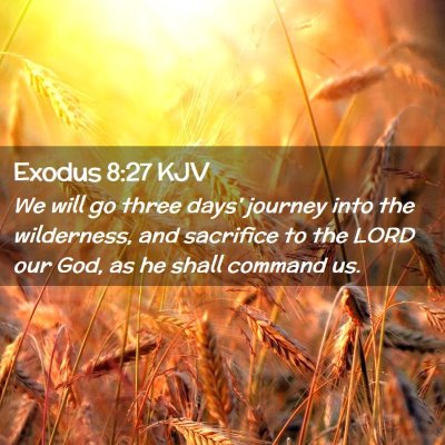Exodus 8:27 KJV Free Bible Images