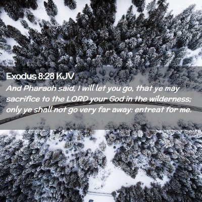Exodus 8:28 KJV Free Bible Images