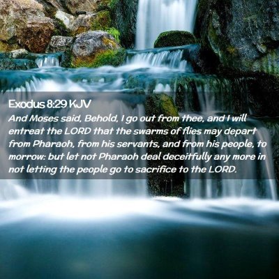 Exodus 8:29 KJV Free Bible Images