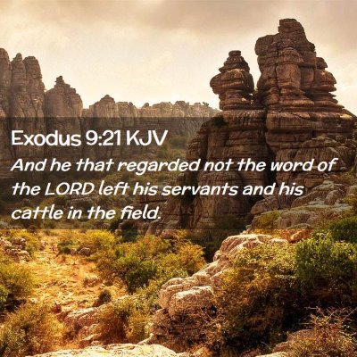 Exodus 9:21 KJV Free Bible Images