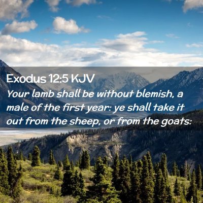 Exodus 12:5 KJV Free Bible Images