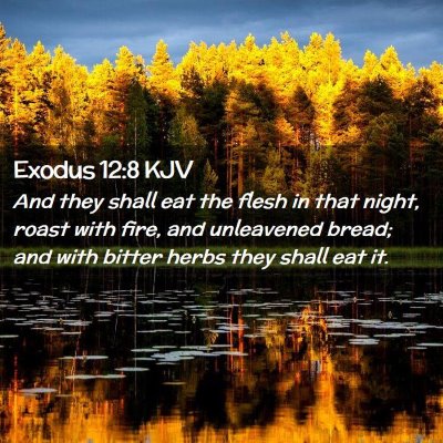 Exodus 12:8 KJV Free Bible Images
