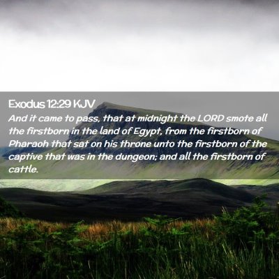 Exodus 12:29 KJV Free Bible Images
