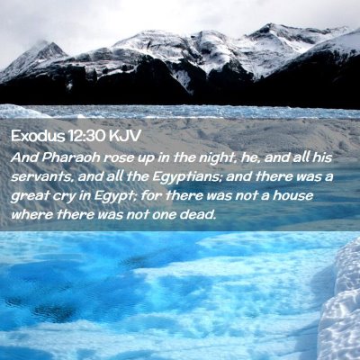 Exodus 12:30 KJV Free Bible Images