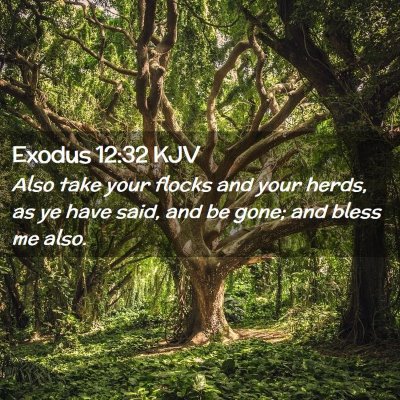 Exodus 12:32 KJV Free Bible Images