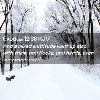 Exodus 12:38 KJV Free Bible Images