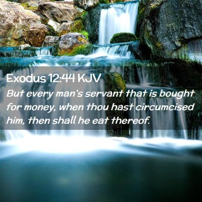 Exodus 12:44 KJV Free Bible Images