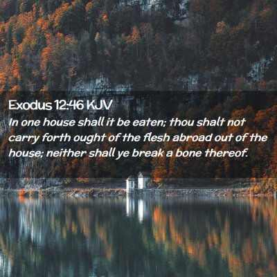 Exodus 12:46 KJV Free Bible Images