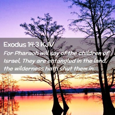 Exodus 14:3 KJV Free Bible Images