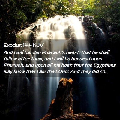 Exodus 14:4 KJV Free Bible Images