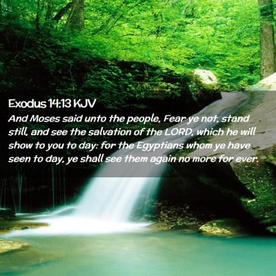 Exodus 14:13 KJV Free Bible Images