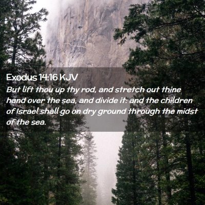 Exodus 14:16 KJV Free Bible Images