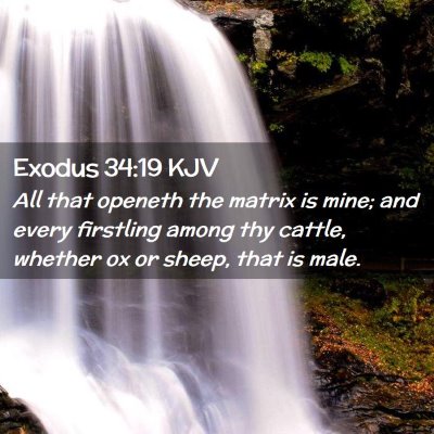Exodus 34:19 KJV Free Bible Images