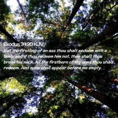 Exodus 34:20 KJV Free Bible Images
