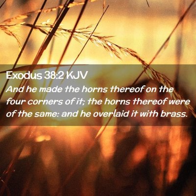 Exodus 38:2 KJV Free Bible Images