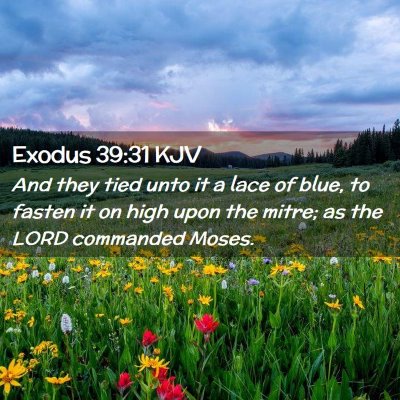 Exodus 39:31 KJV Free Bible Images