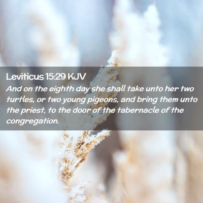 Leviticus 15:29 KJV Free Bible Images