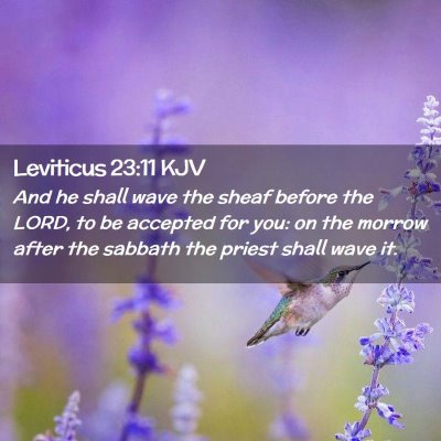 Leviticus 23:11 KJV Free Bible Images