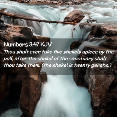Numbers 3:47 KJV Free Bible Images