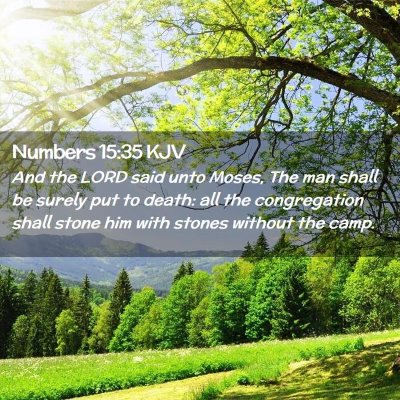 Numbers 15:35 KJV Free Bible Images