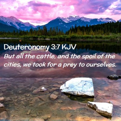 Deuteronomy 3:7 KJV Free Bible Images