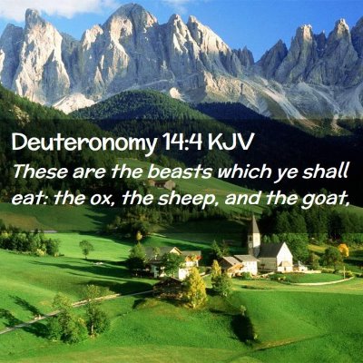 Deuteronomy 14:4 KJV Free Bible Images