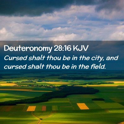 Deuteronomy 28:16 KJV Free Bible Images