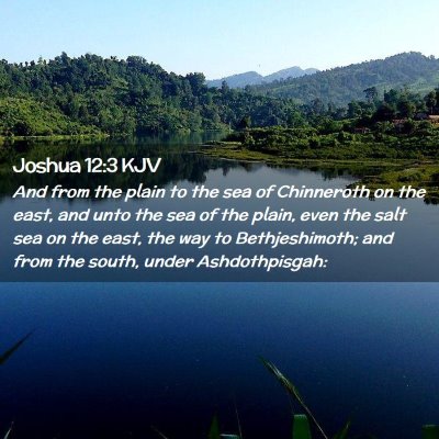 Joshua 12:3 KJV Free Bible Images