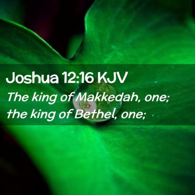 Joshua 12:16 KJV Free Bible Images