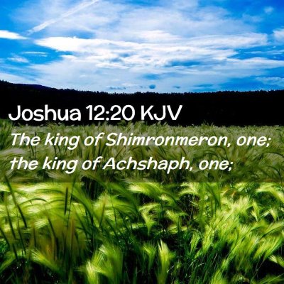Joshua 12:20 KJV Free Bible Images
