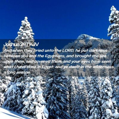 Joshua 24:7 KJV Free Bible Images
