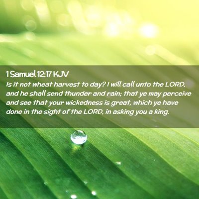 1 Samuel 12:17 KJV Free Bible Images