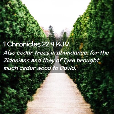 1 Chronicles 22:4 KJV Free Bible Images