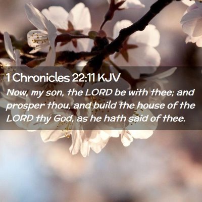 1 Chronicles 22:11 KJV Free Bible Images